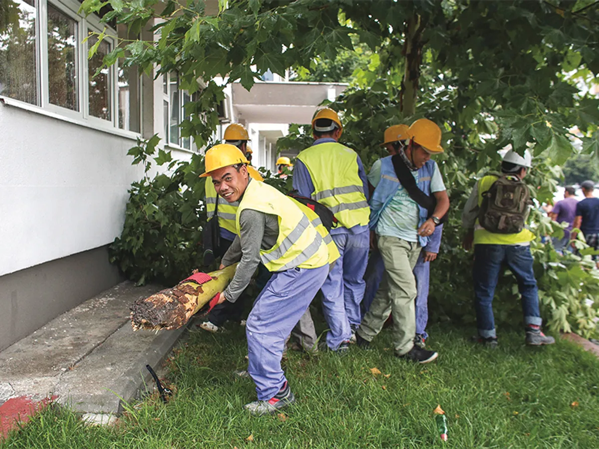 Mai mulți muncitori vietnamezi care lucrau la anveloparea unui bloc, au participat și la înlăturarea unui copac doborât de furtună în București - Foto: INQUAM PHOTOS/ Octav Ganea
