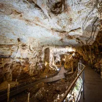 Misterul Peșterii Urșilor din Munții Apuseni: Casa zeilor sau acunzișul a 140 de urși? - Foto: peșteraurșilor.ro/ Imagine cu caracter ilustrativ