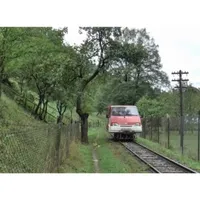 VIDEO Locuitorii unei comunități montane au transformat mașinile vechi Ford Transit în locomotive Foto:captură video youtube