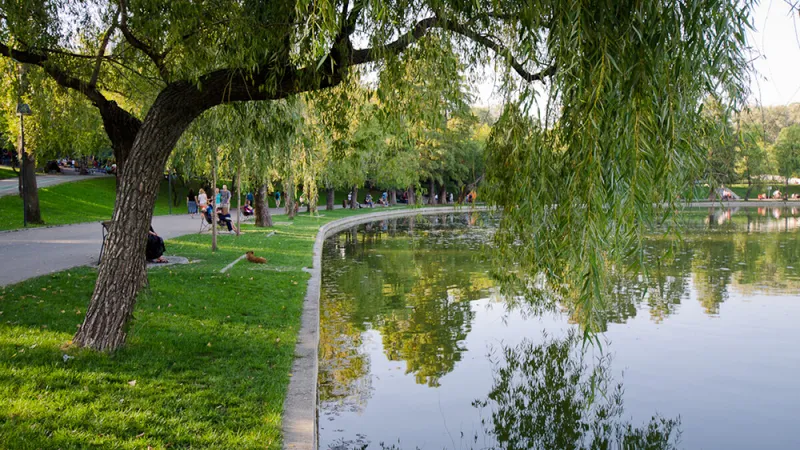 Parcul IOR - Foto: gsp.ro