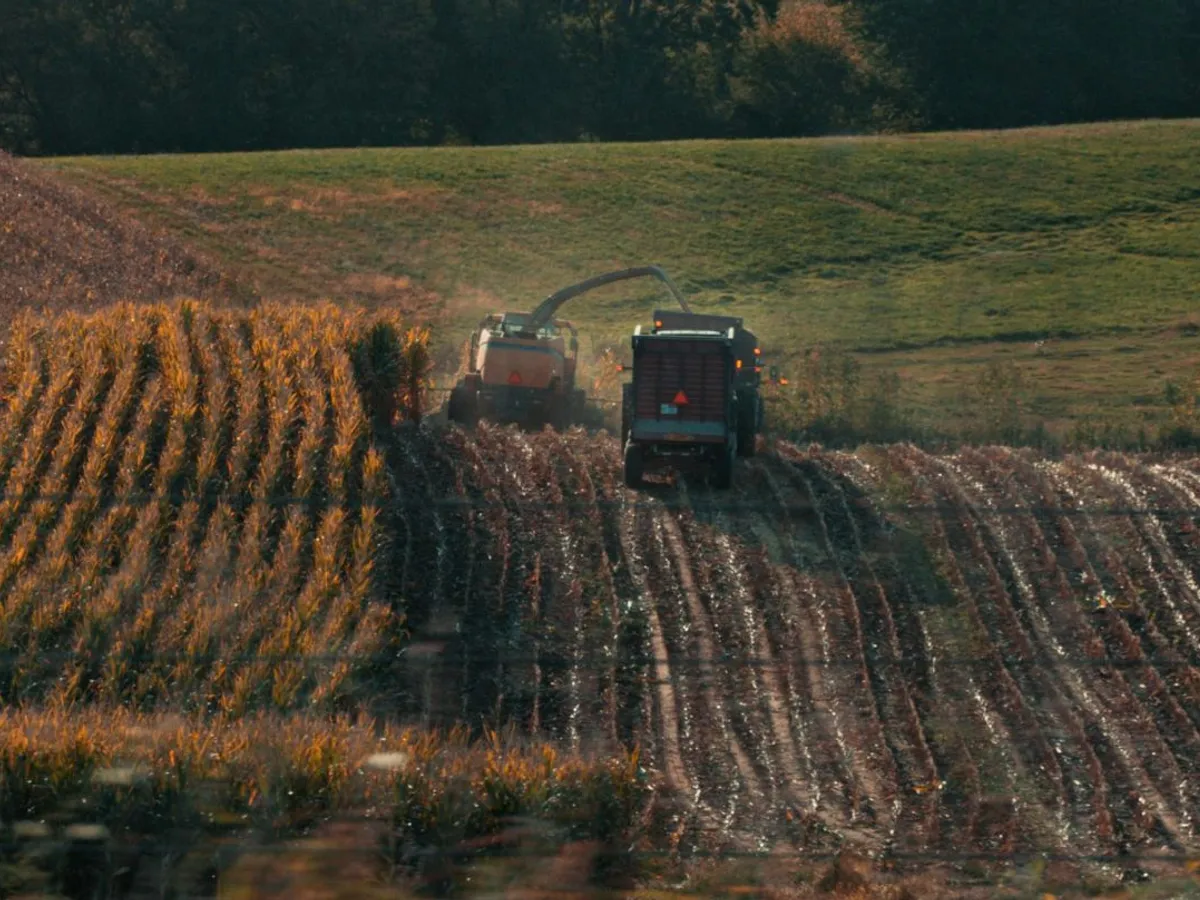 Fermierii ar putea achiziționa motorină la preț redus, fără accize și TVA