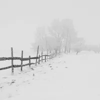 METEO Cum va fi vremea până în luna ianuarie? Temperaturile sunt într-o ușoară creștere Foto: Freepik (fotografie cu caracter ilustrativ)