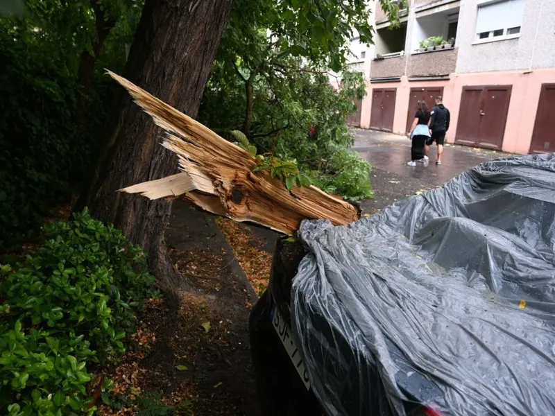 O mașină avariată de un copac căzut, într-o parcare din Districtul 3 al Budapestei - Foto: Profimedia Images