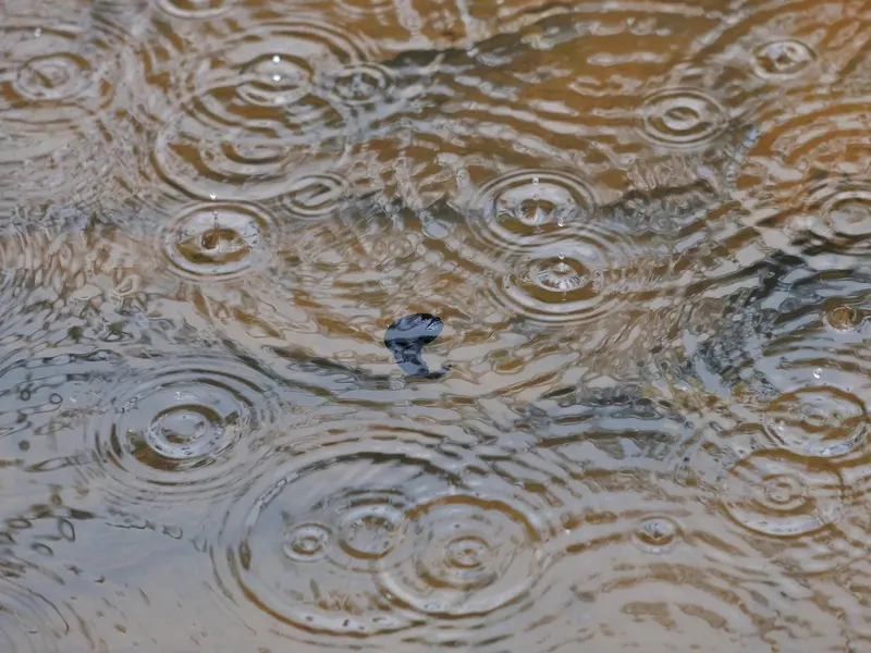 Cod galben de vreme severă în mai multe județe. Anunțul meteorologilor - Foto: Profimedia Images/ Imagine cu caracter ilustrativ