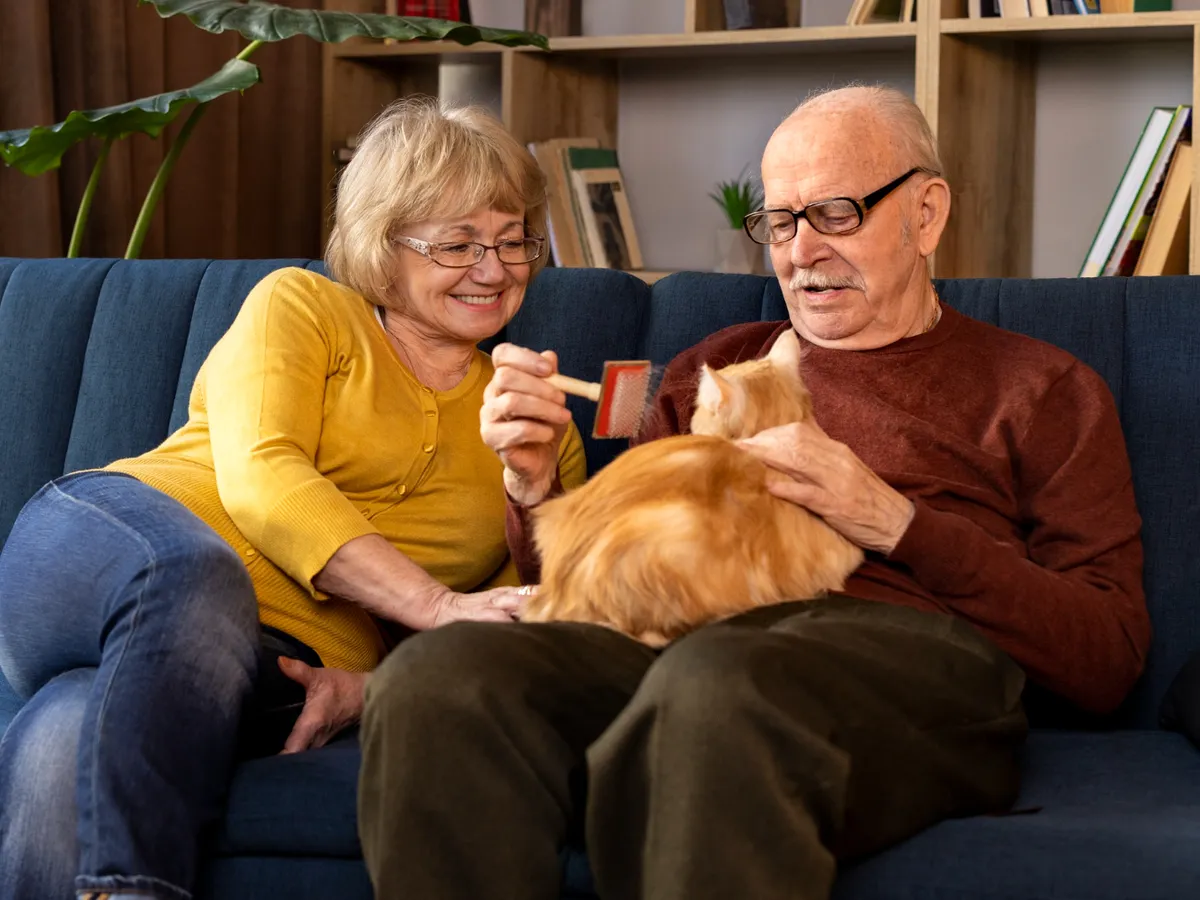 Pensionari la pensie - Foto: Freepik