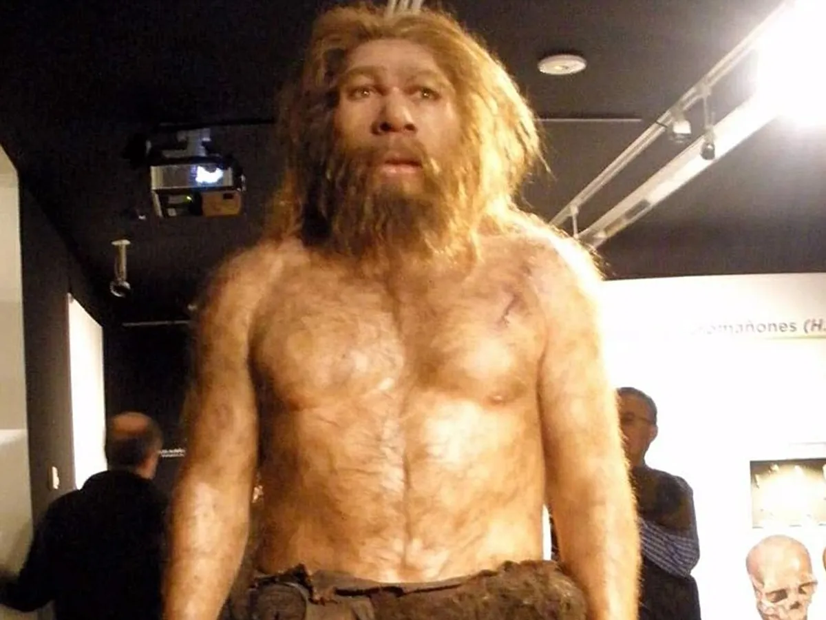 Homo Neanderthalensis, de la Museo de la Evolución Humana, din Burgos, Spania - Foto: Profimedia Images