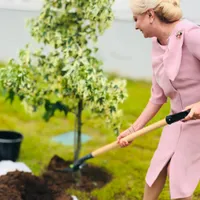 Premierul Dăncilă se pregătește să preia, oficial, conducerea PSD Foto: Guv.ro