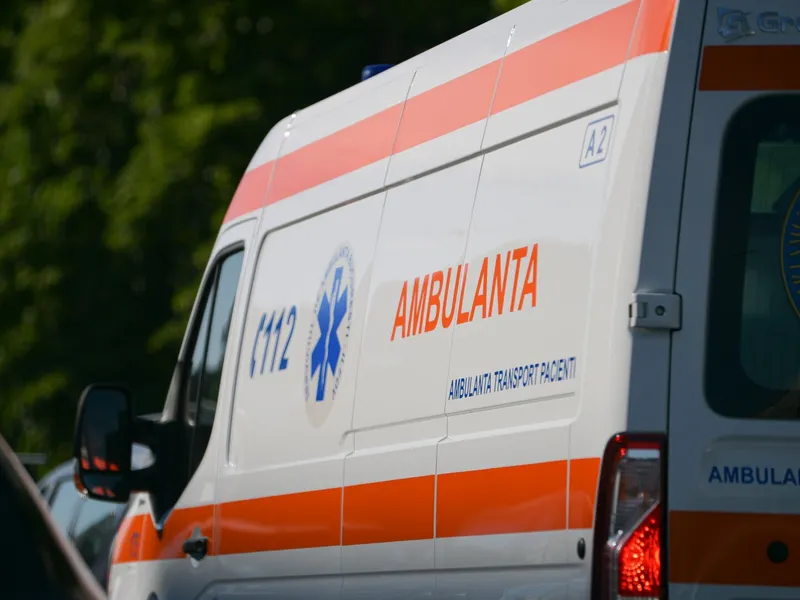 Un copil a ajuns la spital după ce a fost mușcat de mai mulți câini. În ce stare se află? - Foto: Arhiva (imagine cu rol ilustrativ)
