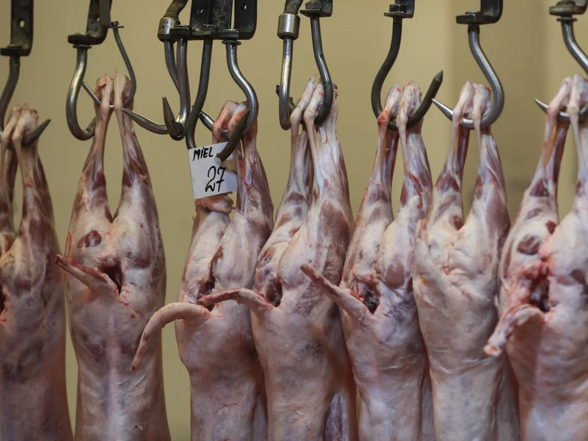 Crescătorii au menţinut preţurile de anul trecut la miel sau le-au scăzut ca să nu rămână cu animalele