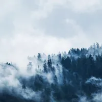 Ceață- Foto: PEXELS PHOTOS