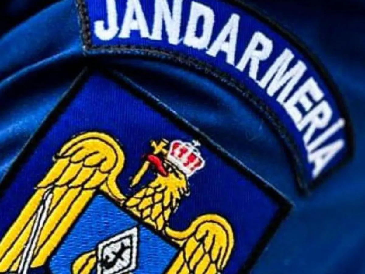 Ce salariu primește un jandarm în România - Foto: Jandarmeria Română / Facebook