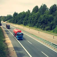 Accident bizar pe autostrada A1. Un TIR a accidentat mortal doi cai lăsați nesupravegheaţi pe șosea - FOTO: Pixabay