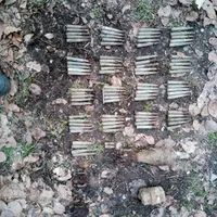 Două proiectile şi zeci de cartuşe au fost găsite de pirotehnişti în pădurea Nemţişor. / Foto: agerpres.ro