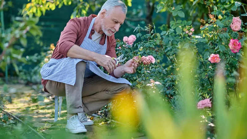 400 lei în plus la pensie din luna mai. Care pensionarii iau bani în plus săptămâna viitoare? - Foto: Freepik