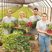 Producătorii pot aplica în cadrul programului atât în hipermarketurile Carrefour, cât și online, pe platforma www.crestemromaniabio.ro