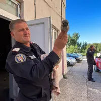 Pui de lebădă salvat de pompierii din Tulcea - Foto: ISU Tulcea