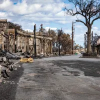 Maui, Hawaii, bilanţ îngrozitor al incendiilor - Foto: Profimedia Images