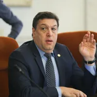 Șerban Nicolae este inițiatorul proiectului controversat. Foto Inquam Photos/George Călin