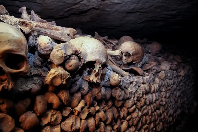 Catacombele din Paris - Foto: getyourguide.com