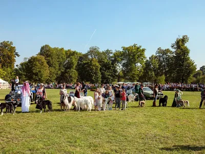 Karpatia Horse Show 2026 - Foto: Arhiva