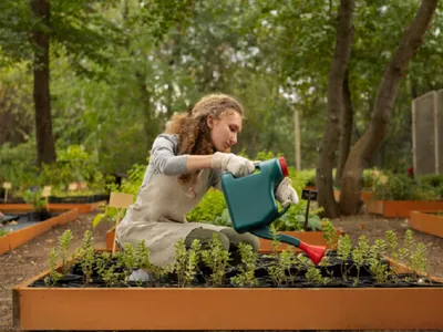 Grădină - Foto: Freepik (rol ilustrativ)