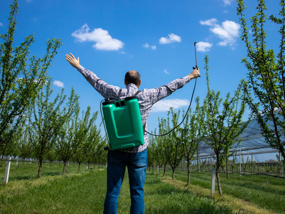 Bărbat care a stropit grădina - Foto: Freepik (Imagine cu rol ilustrativ)