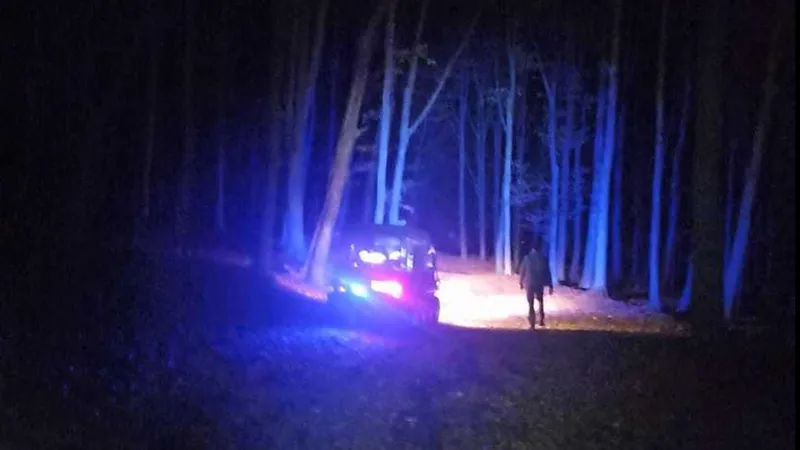 Un bărbat din Flămânzi a plecat să culeagă ciuperci în pădure, dar s-a rătăcit. Cum a fost găsit - Foto: ISU Botoșani