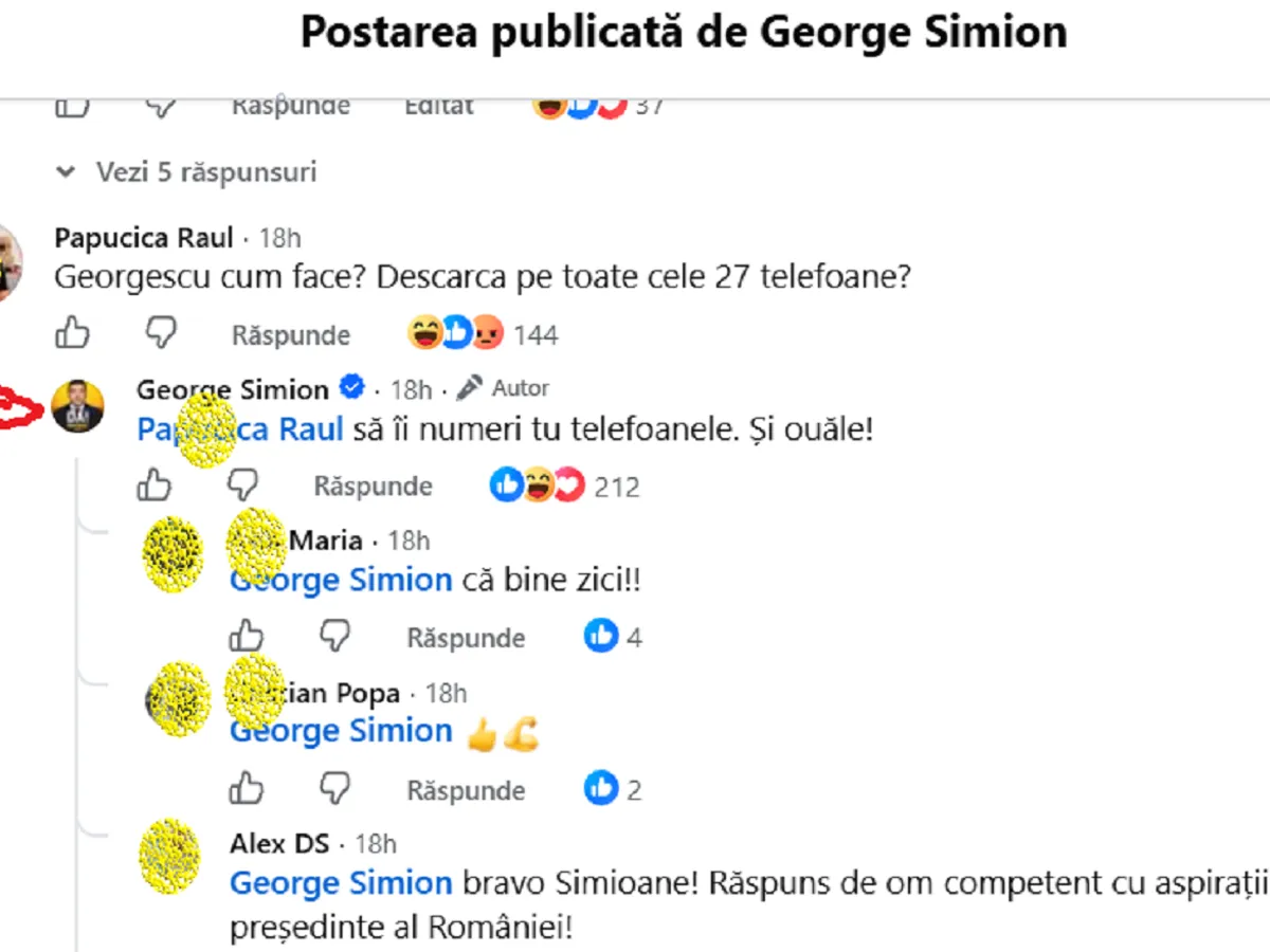 Răspuns Simion - Foto: FB / Simion