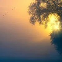 VREMEA ceață densă în zeci de județe. Vizibilitate redusă sub 50 de metri Foto: Pexels (fotografie cu caracter ilustrativ)