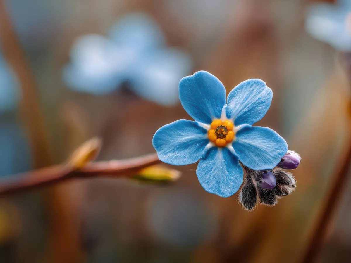 Floare albastră - Foto: Magnific.com (Imagine cu rol ilustrativ)