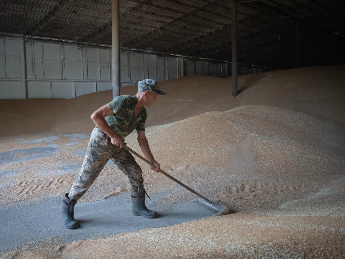Rusia respinge coridorul cerealelor din Marea Neagră. 30.000.000 tone de produse agricole rămân în Ucraina - Foto: Profimedia Images (imagine cu  rol ilustrativ)