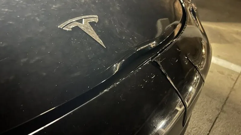VIDEO O Tesla pe pilot automat a ucis o căprioară. Ciudăţenie la programarea service-ului maşinii - Foto: X/Paul S