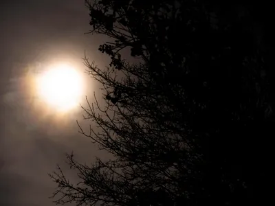 Eclipsa de Soare - Foto: Magnific.com (Imagine cu rol ilustartiv)