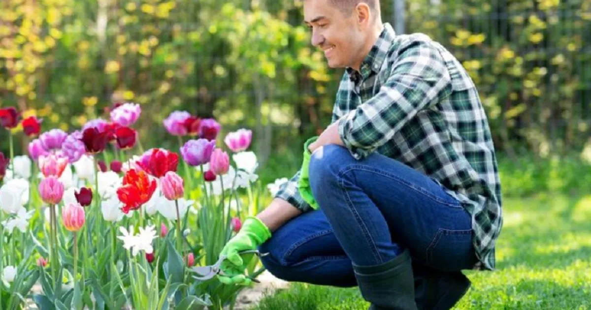 Amendă de 100.000 € dacă ești prins că ai depozitat anumite obiecte în grădină. Par inofensive însă e ilegal • Newsweek România