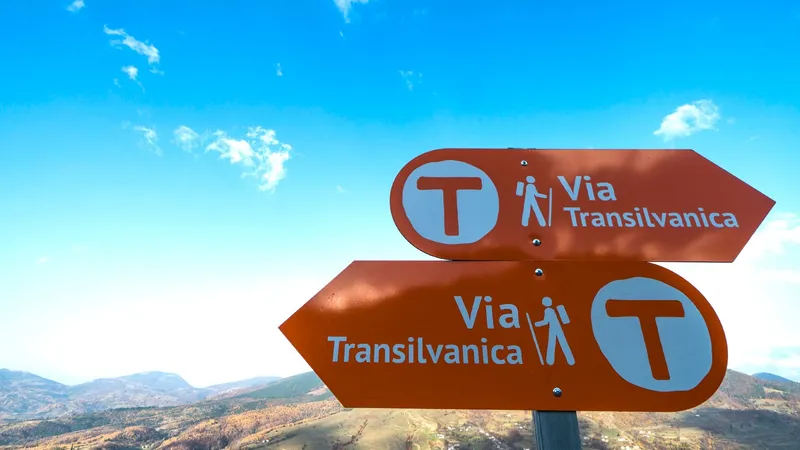 Dacă nu ai timp să descoperi fizic Via Transilvanica, 900 km pot fi explorați cu Google Street View - Foto: Facebook/Via Transilvanica