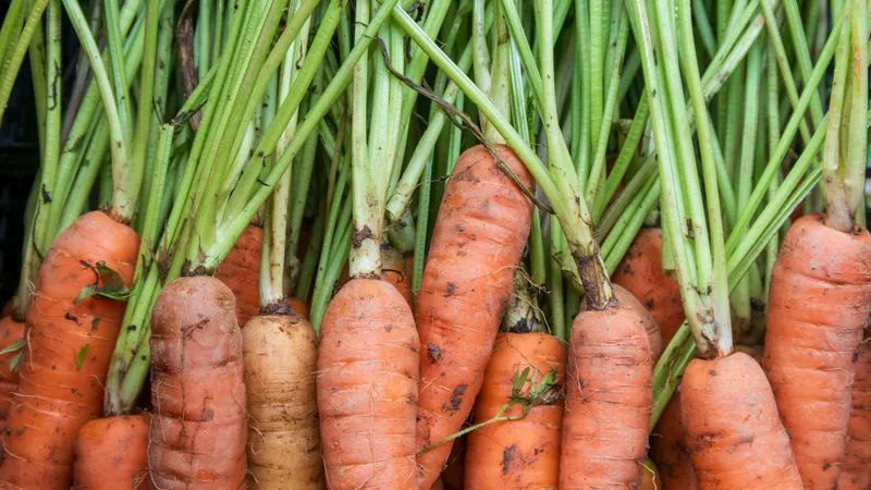 Scad prețurile la produsele românești. De ce scoate statul bani din buzunar pentru plafonare Foto: Pexels (fotografie cu caracter ilustrativ)
