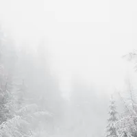 METEO Vin primele ninsori în România. În ce orașe a fost emis Cod galben de zăpadă și vânt Foto: Freepik (fotografie cu caracter ilustrativ)