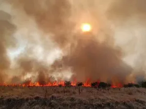 Incendiile de vegetație sunt tot mai periculoase în țară. Flăcările amenință casele și pădurile - Foto: Arhiva
