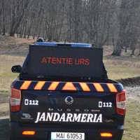Jandarmeria s-a dotat cu 51 de pick-up-uri. Girofarul, goarna și troliul au dublat prețul - Foto: jandarmeriabistrita.ro