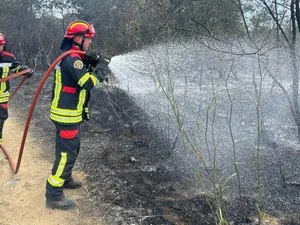Pompierii români au participat la stingerea unui incendiu de vegetație în zona Toulouges, Franța - FOTO: Facebook