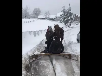 România 2023: Străzi din Câmpulung Moldovenesc, deszăpezite cu un plug improvizat, tras de cai. - Foto: captură video