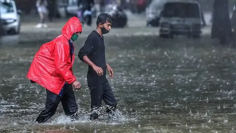 METEO Cod roşu de ploi. Ultima zvâcnire a Ciclonului Ashley. Unde se va manifesta aceasta? - Foto: PixaHive/Ronie/CC0