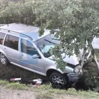 Șoferul unei mașini de aproape 20 de ani vechime a sărit un șanț și s-a înfipt într-un copac - Foto: presasm.ro