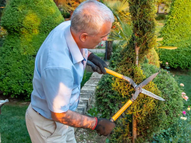 630 lei în plus la pensie pentru 430.000 pensionari. Ce pensie iei în România după 35 ani de muncă? - Foto: Freepik