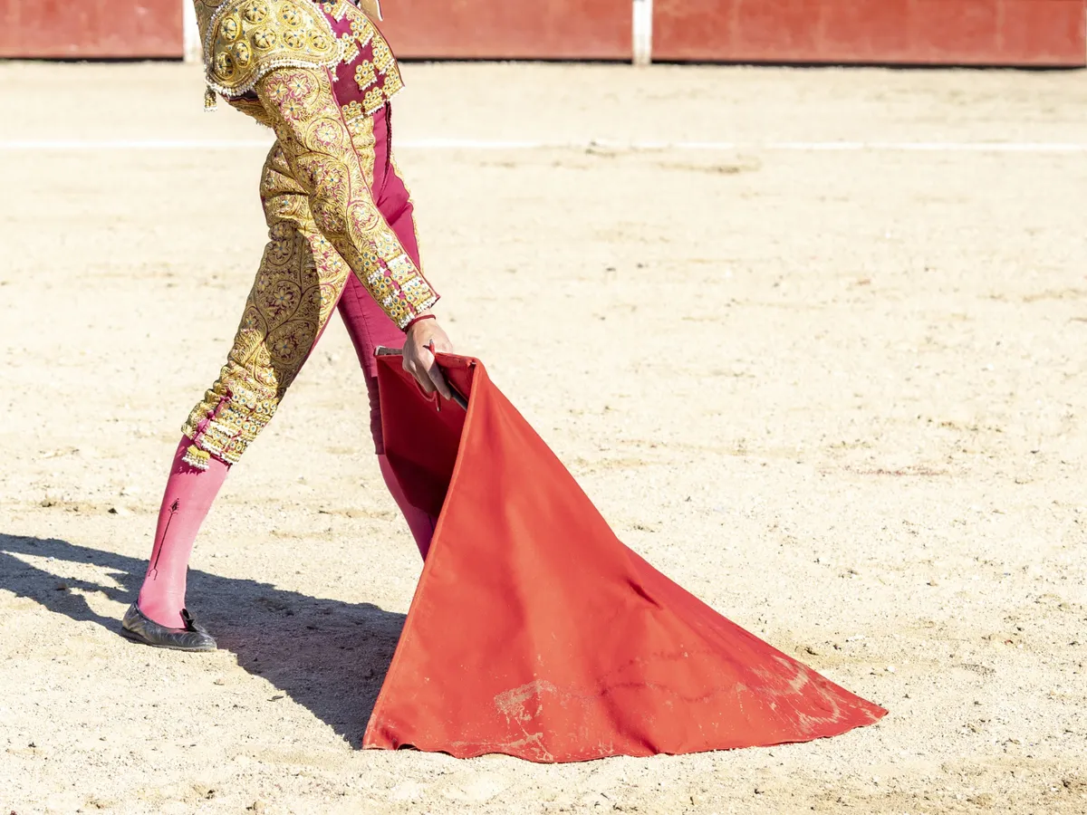 Tragedie în Spania. Fost toreador, ucis de un taur în culisele arenei din Málaga