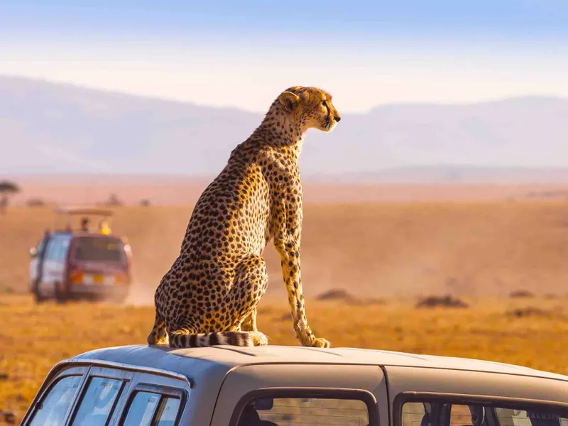 Foto: South Africa Tourism