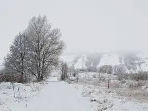 De ce a interzis un primar căderea zăpezii, în comuna sa - Foto: PXHere/CC0