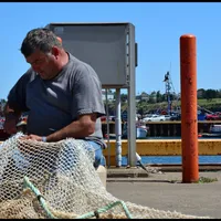 Pescarii se plâng că 30-40% din bărci vor rămâne la mal dacă autorităţile române nu vor schimba normele europene - Foto: PxHere