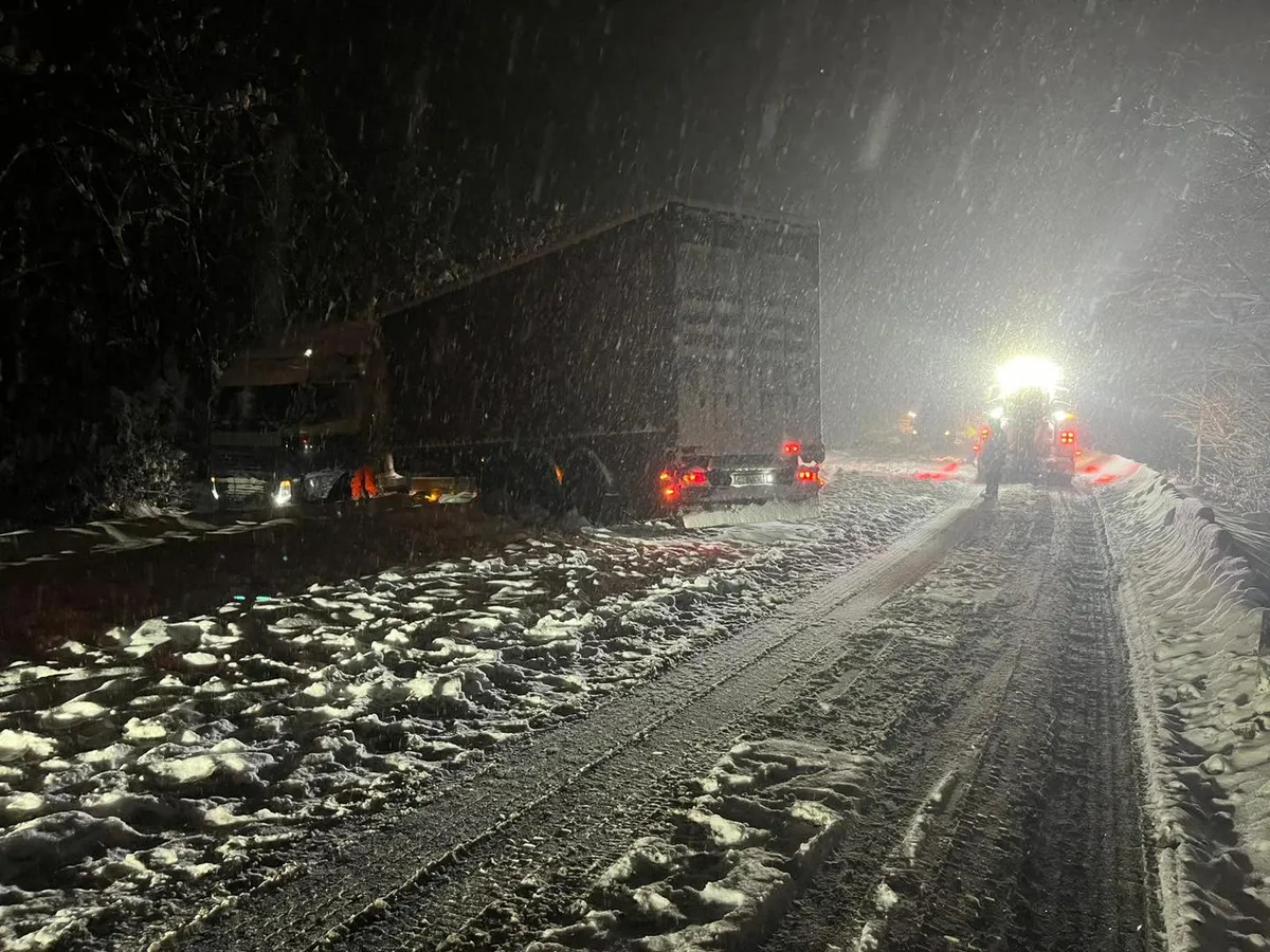 Ninsoare Foto: Facebook/DRPD Timiș