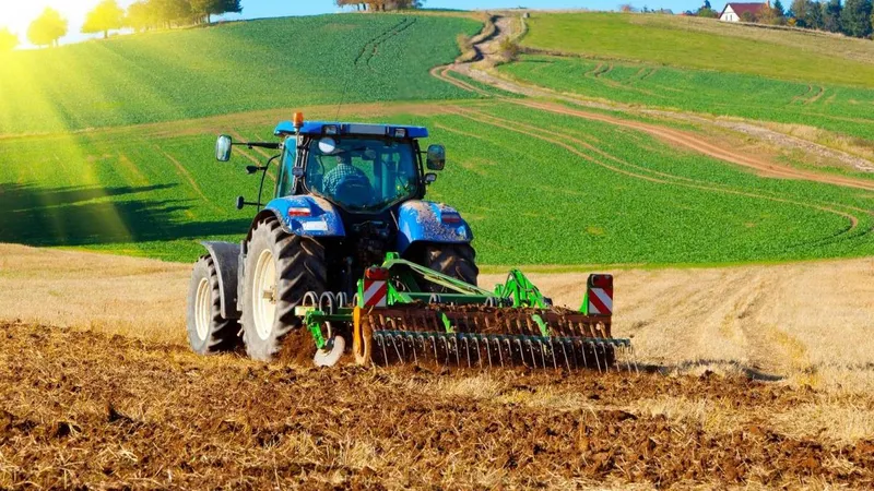 Ghidul solicitantului de fonduri europene pentru procesarea produselor agricole, publicat de AFIR. / Foto: usab-tm.ro